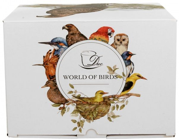 Pudełko World of Birds z ilustracjami ptaków.