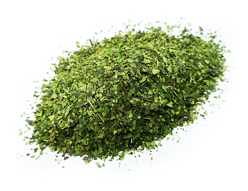 Ilex Guayusa Napo suszone liście guayusy zblizenie produktu