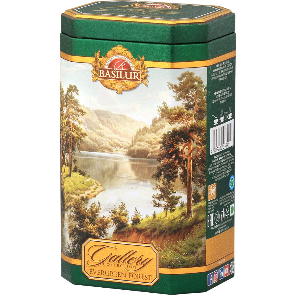 Puszka Basilur Evergreen Forest z ilustracją gór i rzeki – elegancka herbata zielona Ceylon.